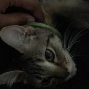 Meet your Posher, Jerry